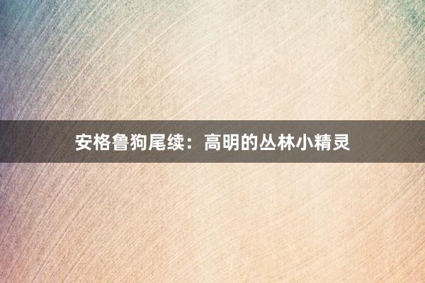 安格鲁狗尾续：高明的丛林小精灵