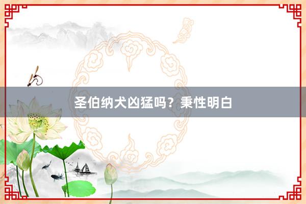 圣伯纳犬凶猛吗？秉性明白